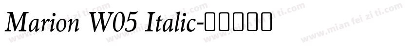 Marion W05 Italic字体转换